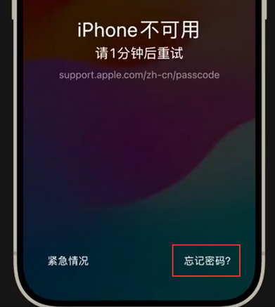 东成镇苹果手机密码维修分享iPhone忘记了刚设置的密码 