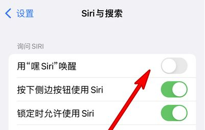 东成镇苹果13维修分享iPhone 13怎么唤醒 Siri  