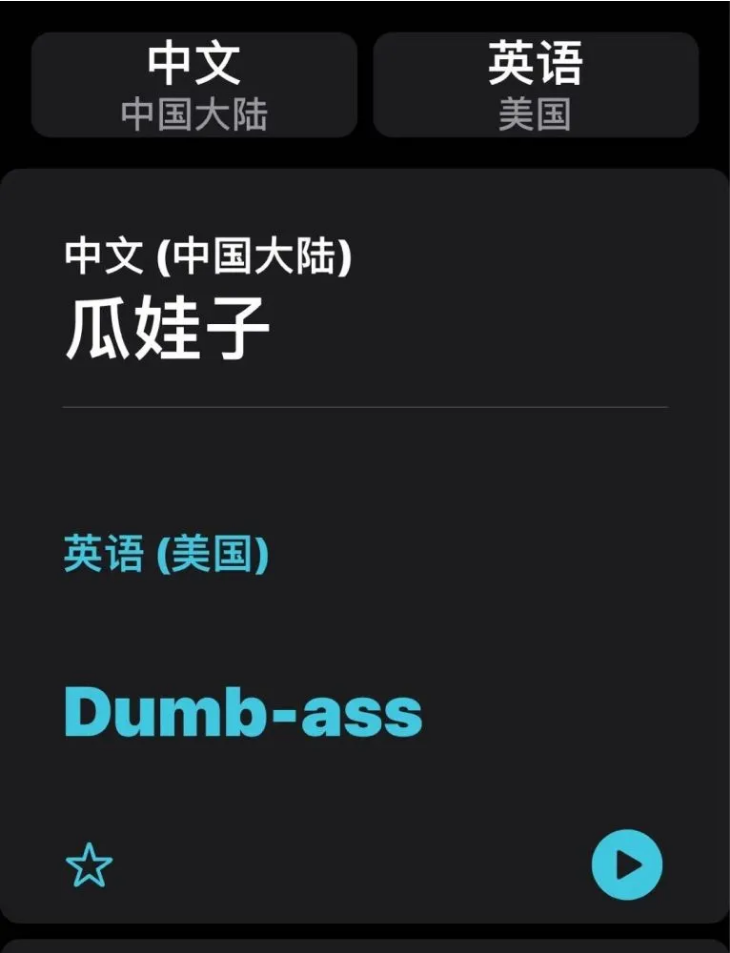 东成镇苹果手机维修分享iOS14的“翻译太懂了”怎么用 
