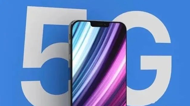 东成镇苹果手机维修分享iPhone12 pro怎么显示5G 