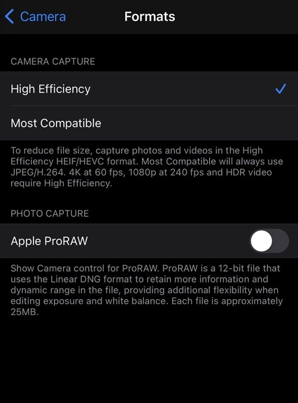 东成镇苹果手机维修分享如何为 iPhone 12 Pro/Max 启用 ProRAW 照片格式 